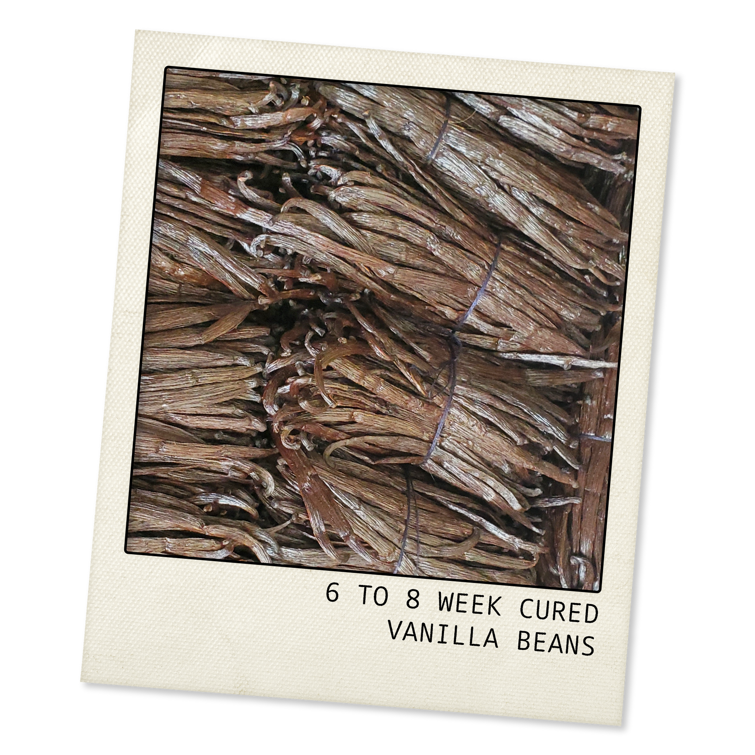 cured vanilla beans